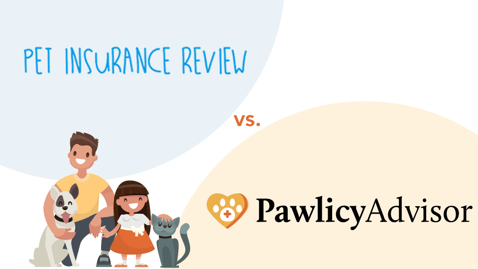 Featured image for Choosing the Best Pet Insurance: Review Aggregators vs. Leading Marketplaces - Comprehensive pet insurance guide