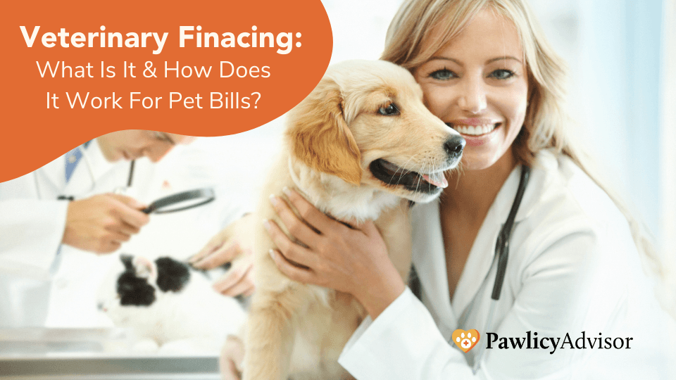 Navigating Veterinary Financing: Your Guide to Covering Pet Bills