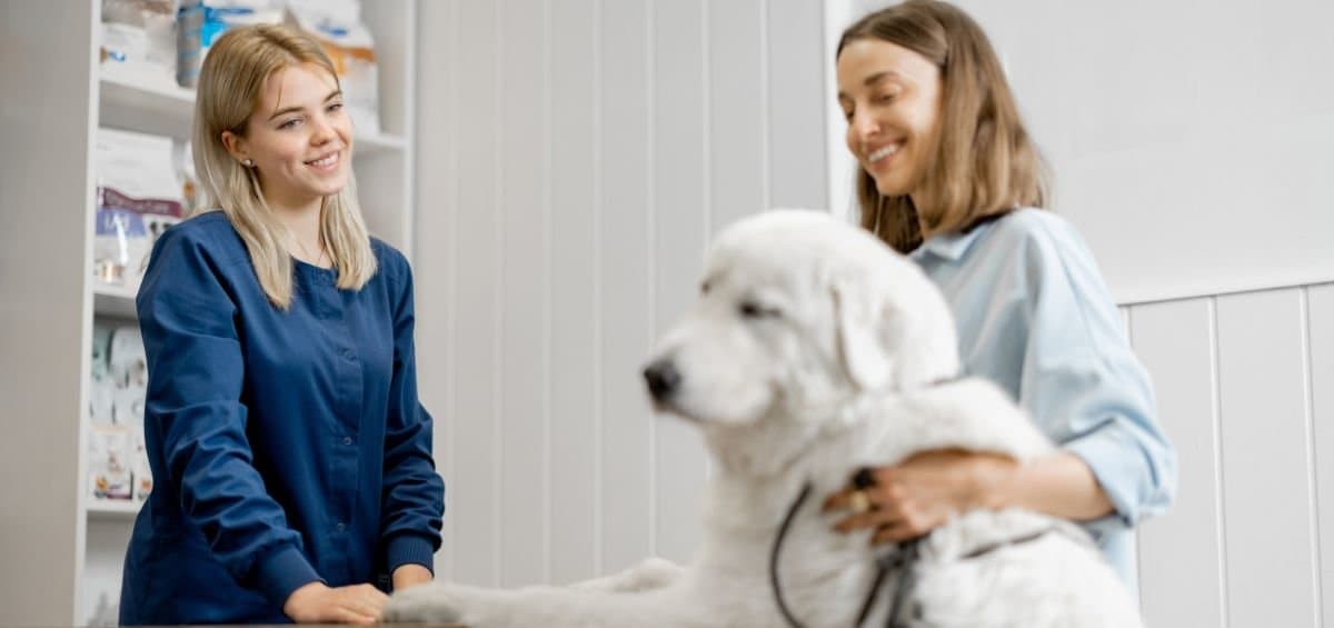 Pet Insurance Client Education 2025: Guiding Owners Through Vet Costs