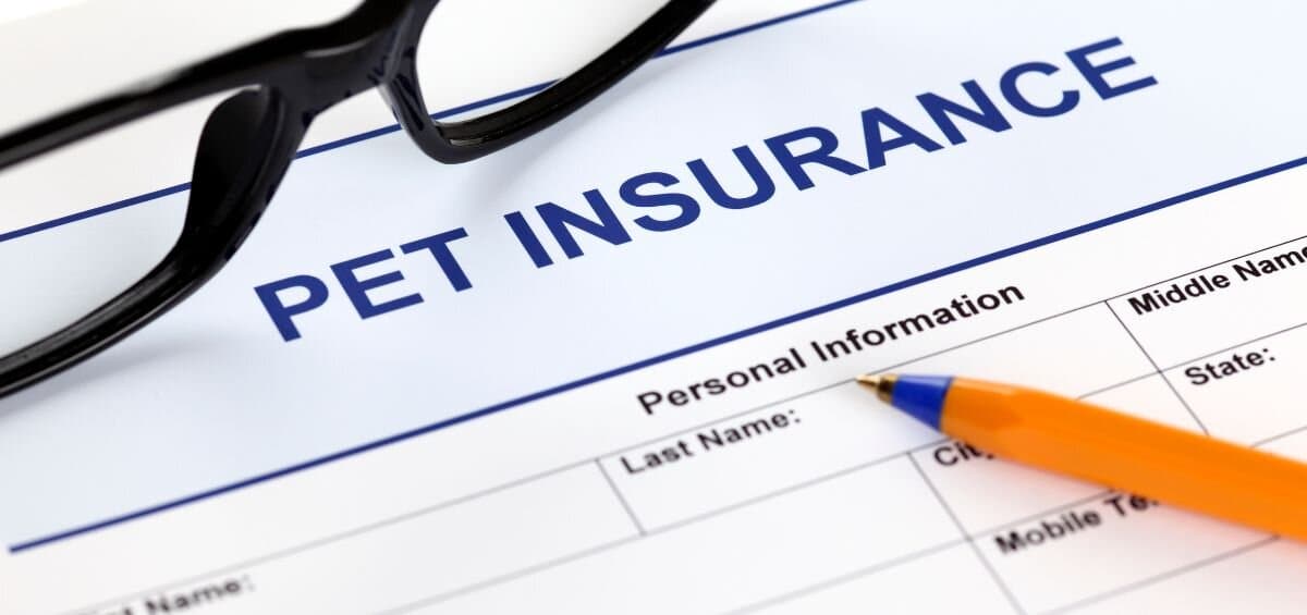 Pet Insurance Scams 2025: 5 Sneaky Traps to Dodge & Protect Your Wallet - Pet insurance guide and review