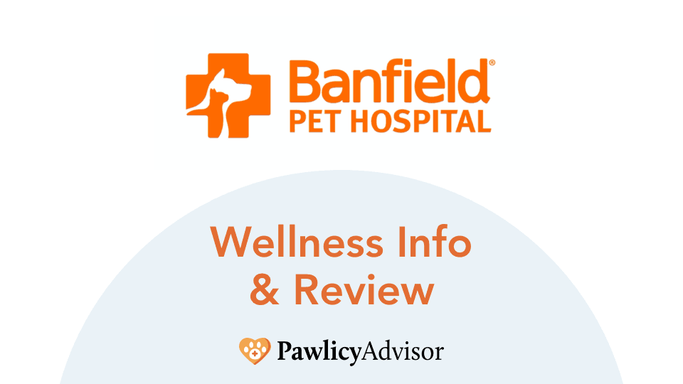 Featured image for Pet Wellness Plans: Your Guide to Preventive Vet Care & Savings - Comprehensive pet insurance guide