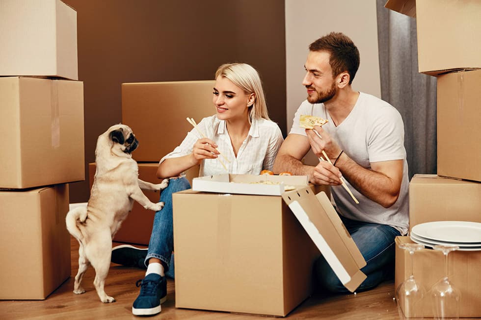 Featured image for The Ultimate Guide to Pet Nutrition in Australia: What's Really in Their Bowl? - Comprehensive pet insurance guide