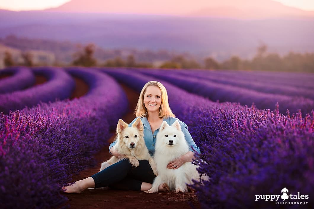 Featured image for Your Ultimate Guide to Dog-Friendly Travel: Tips for Unforgettable Canine Adventures - Comprehensive pet insurance guide